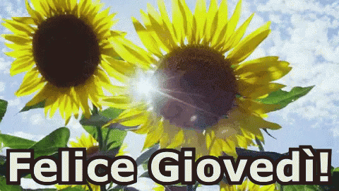 Felice giovedì