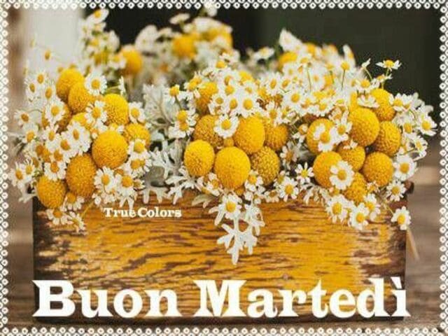 Buon Martedì