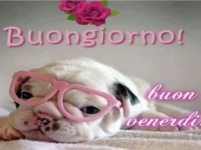 Buongiorno!Buon venerdì.