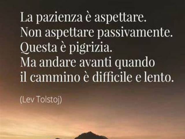 La pazienza è aspettare. Non aspettare passivamente. Questa è pigrizia. ma andare avanti quando il cammino è difficile e lento.(Lev Tolstoj)
