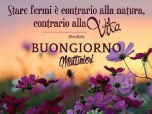 Buongiorno mattinieri!Stare fermi è contrario alla natura, contrario alla vita.(Aldous Huxley)