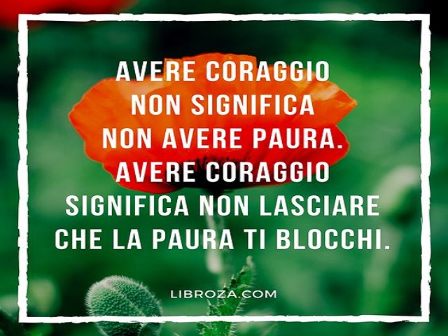 Avere coraggio non significa avere paura. Avere coraggio significa non lasciare che la paura ti blocchi.