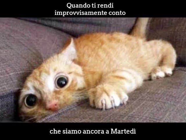 Quando ti rendi improvvisamente conto che siamo ancora a Martedì