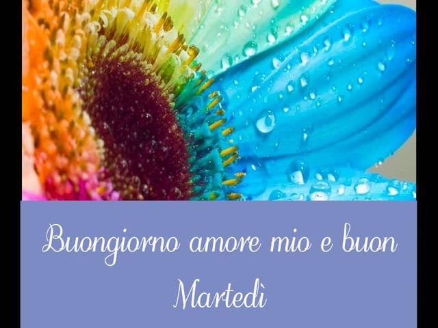 Buongiorno amore mio e buon Martedì