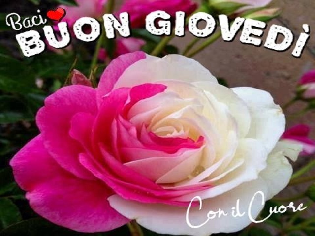 Baci con il cuore. Buon giovedì.