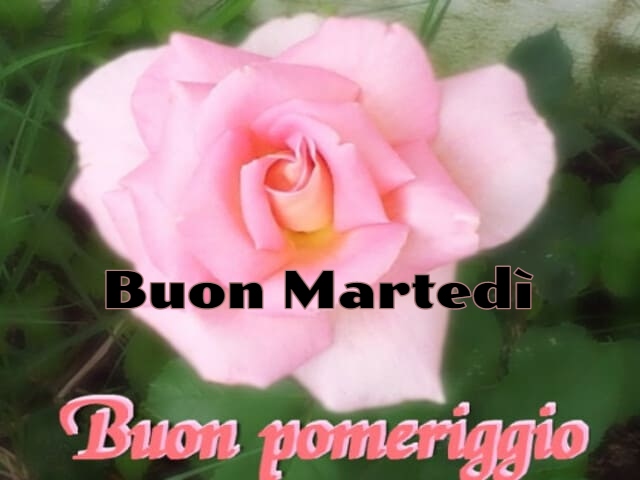 Buon Martedì. Buon pomeriggio