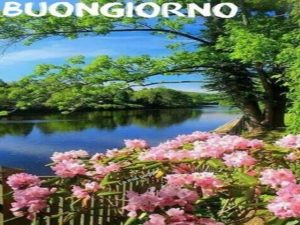 Buongiorno.