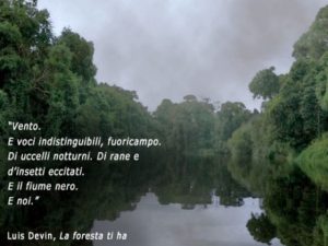 Vento. E voci indistinguibili, fuoricampo. Di uccelli notturni. Di rane e d'insetti eccitati. E il fiume nero. E noi.(La foresta ti ha, Luis Devin)