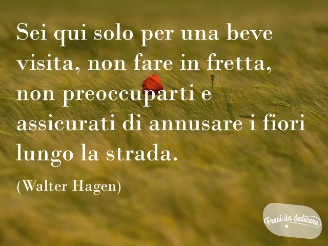 Sei qui solo per una breve visita. Non fare in fretta, non preoccuparti. E assicurati di annusare i fiori lungo la strada. (Walter Hagen)
