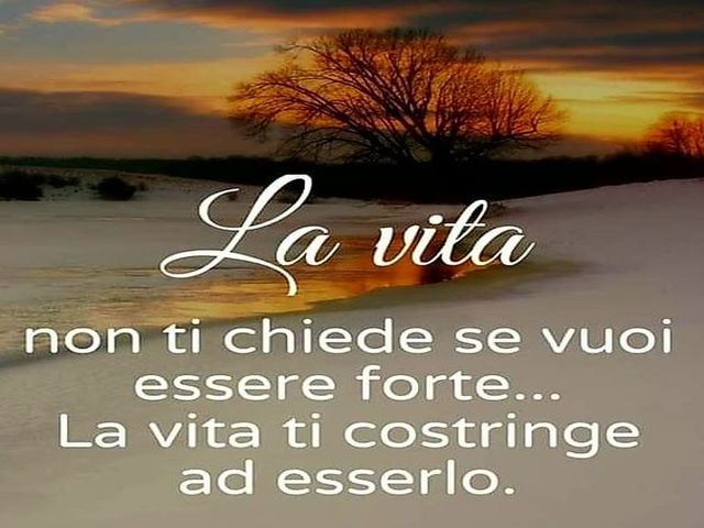 La vita non ti chiede se vuoi essere forte...la vita ti costringe ad esserlo.