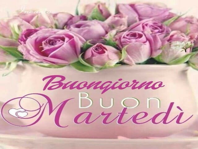 Buongiorno. Buon Martedì