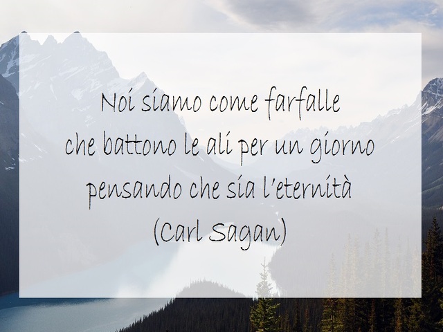 Noi siamo come farfalle che battono le ali per un giorno pensando che sia l'eternità. (Carl Sagan)