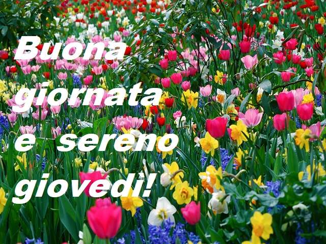 Buona giornata e sereno giovedì!