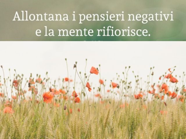 Allontana i pensieri negativi e la mente rifiorisce.