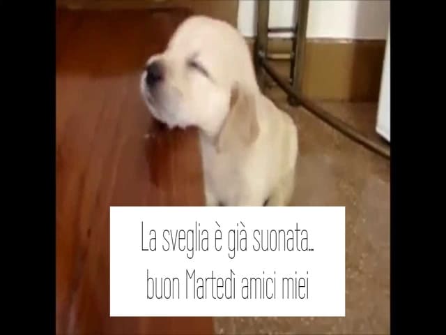 La sveglia è già suonata, buon Martedì amici miei!