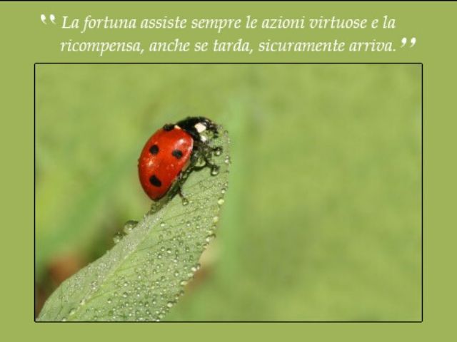 La fortuna assiste sempre le azioni virtuose e la ricompensa, anche se tarda, sicuramente arriva