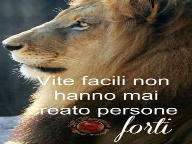 Vite facili non hanno mai creato persone forti