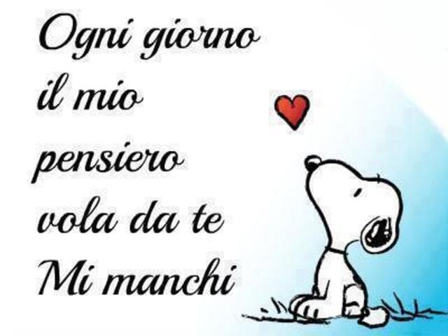 Ogni giorno il mio pensiero vola da te. Mi manchi