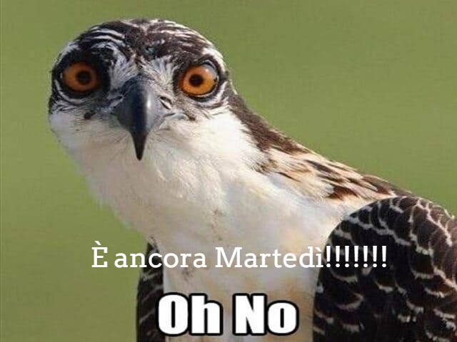 È ancora Martedì!!!! Oh No