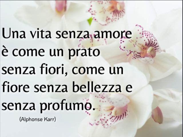 Una vita senza amore è come un prato senza fiori, come un fiore senza bellezza e senza profumo. (Alphonse Karr)