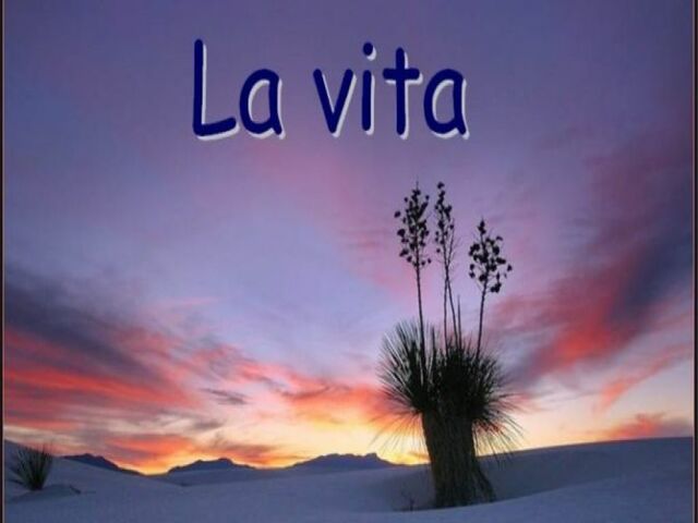 La vita