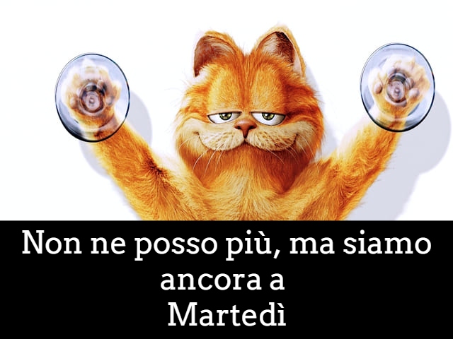 Non ne posso più, ma siamo ancora a Martedì