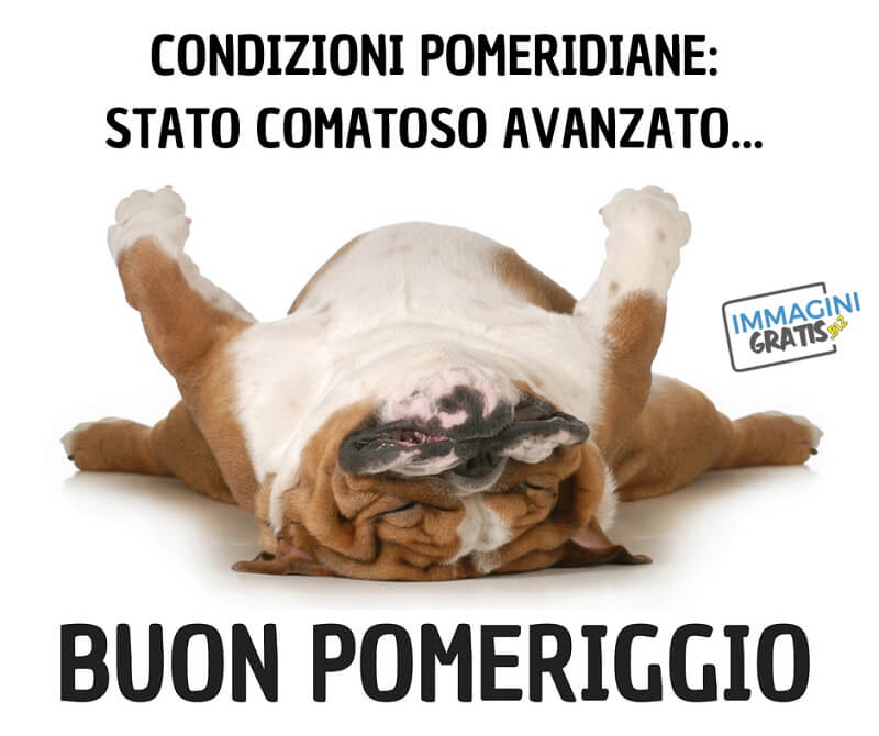 Condizioni pomeridiane: stato comatoso avanzato... Buon pomeriggio