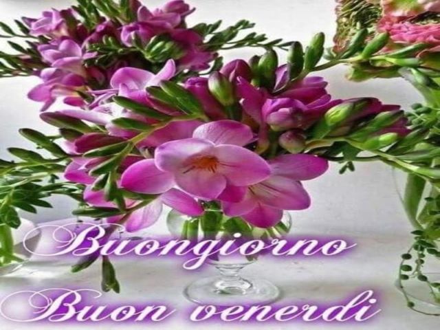 Buongiorno.Buon venerdì.