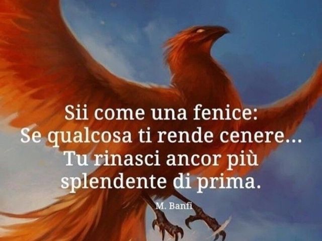 Sii come una fenice: qualcosa ti rende cenere... Tu rinasci ancor più splendente di prima.(M. Banfi)