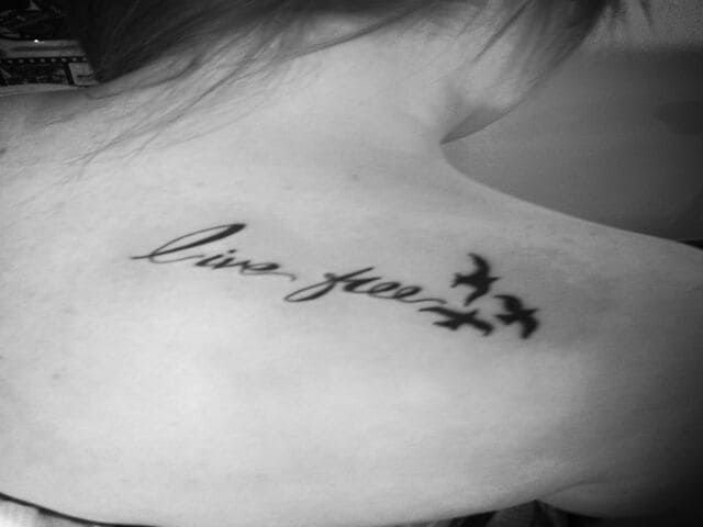 Live free. (Vivi libero.)