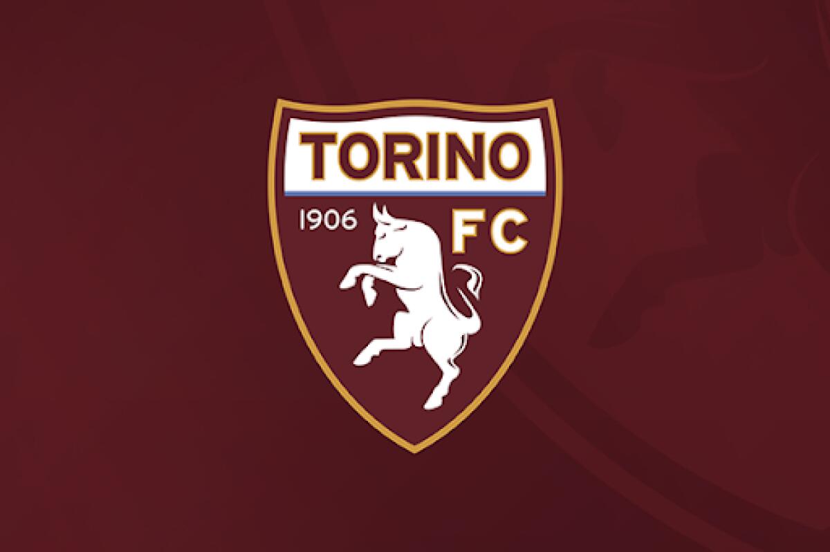 ULTIMORA - Positivo al Covid19 un giocatore del Torino - crediti: torinofc.it