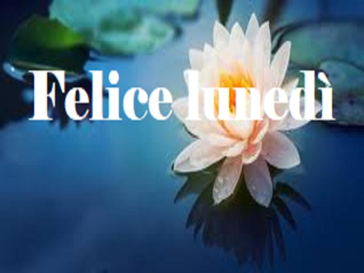 Buon lunedì immagini: 181 modi per augurare un felice inizio di settimana - 