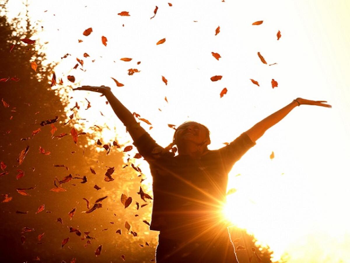 210 frasi sulla felicità per esprimere al meglio la propria gioia - 