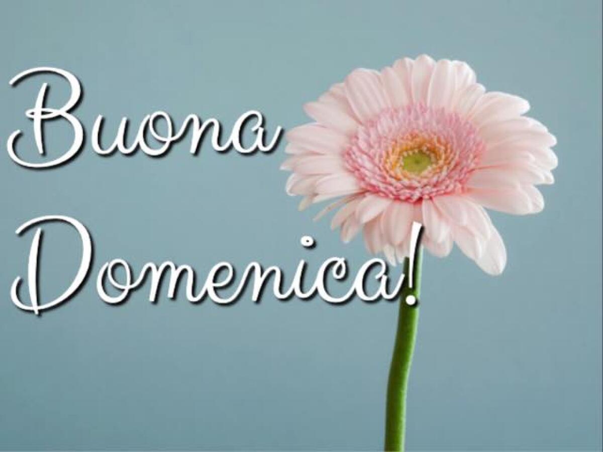 Buona domenica! 182 immagini, frasi e video da mandare! - 