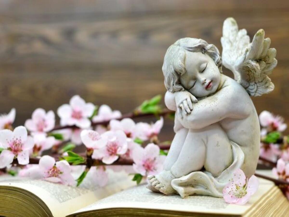 Frasi e immagini sugli angeli: 210 pensieri, fotografie e aforismi sugli angeli custodi - 