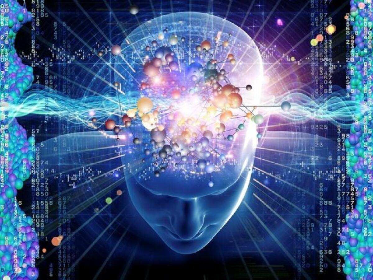 Frasi sull'intelligenza: 196 pensieri, video e immagini da dedicarle - 