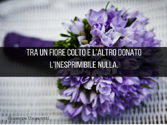 Tra un fiore colto e l'altro donato l'inesprimibile nulla. (Giuseppe Ungaretti)