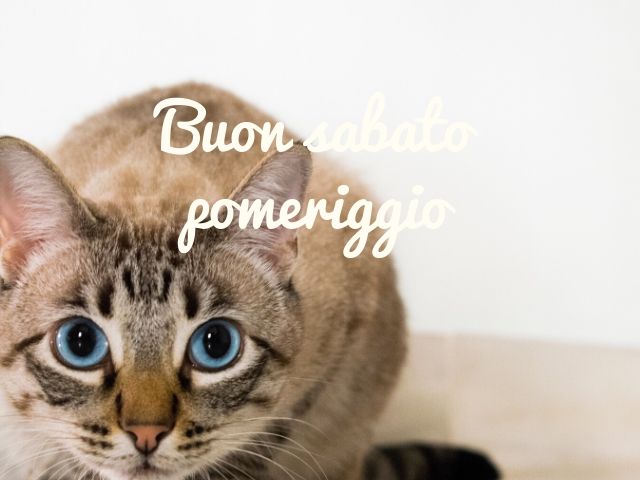 Buon sabato pomeriggio
