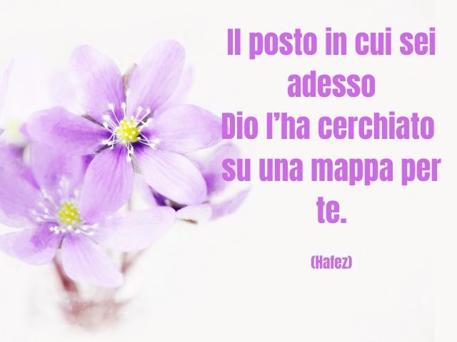Il posto in cui sei adesso Dio l’ha cerchiato su una mappa per te. (Hafez)