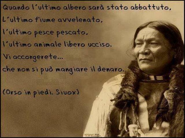 Quando l’ultimo albero sarà stato abbattuto,l’ultimo fiume avvelenato,l’ultimo pesce pescato,l'ultimo animale libero ucciso,vi accorgerete che non si può mangiare il denaro.(Orso in piedi Siuox)