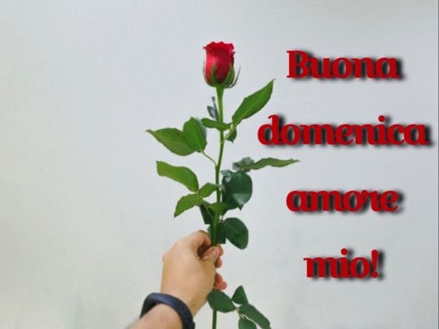 Buona domenica amore mio!