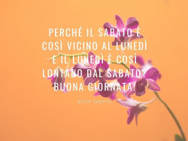 Perché il sabato è così vicino al lunedì e il lunedì è così lontano dal sabato? Buona giornata!