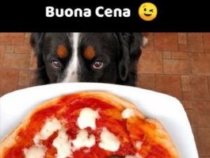 Buona cena