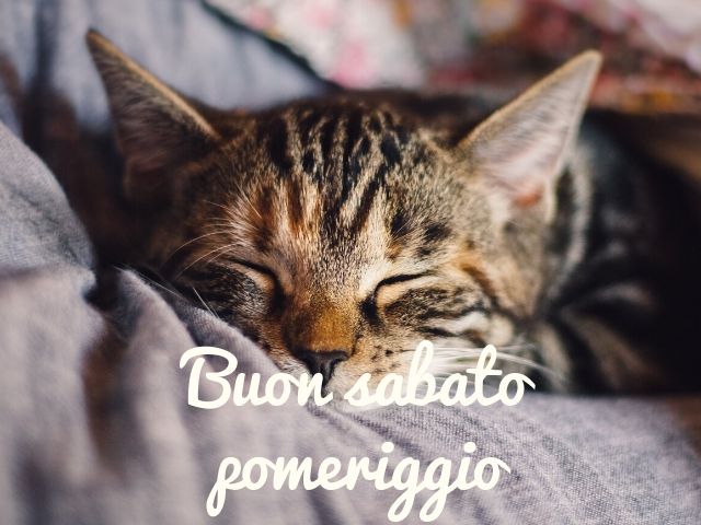 buon sabato pomeriggio