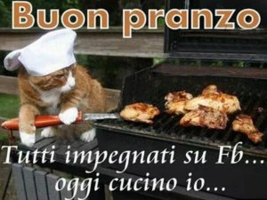 Buon pranzo!Tutti impegnati su Facebook, oggi cucino io...