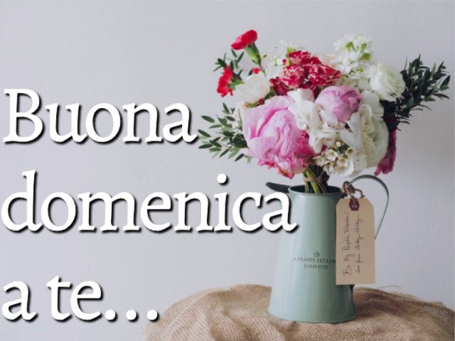 Buona domenica a te...