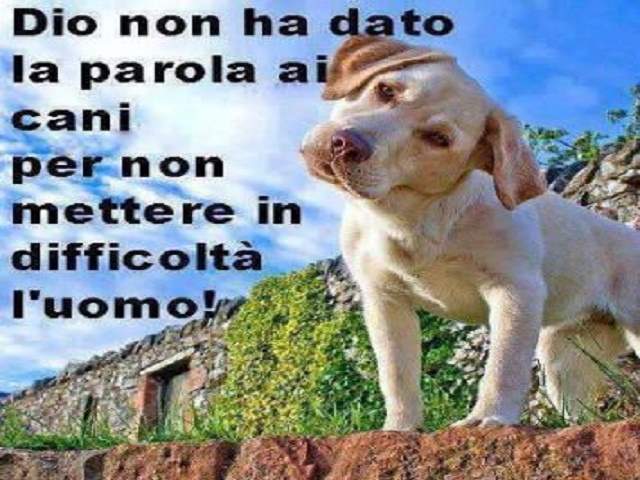 Dio non ha dato la parola ai cani per non mettere in difficoltà l'uomo!
