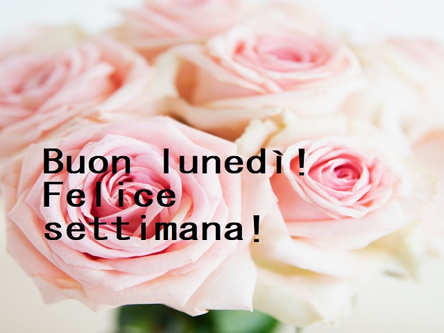 Buon lunedì! Felice settimana!