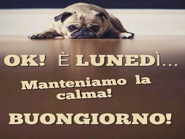 Ok! È Lunedì... Manteniamo la calma! Buongiorno!