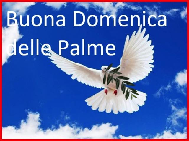 Buona domenica delle Palme